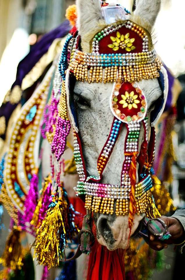 Свадебная лошадь в Индии онлайн-пазл
