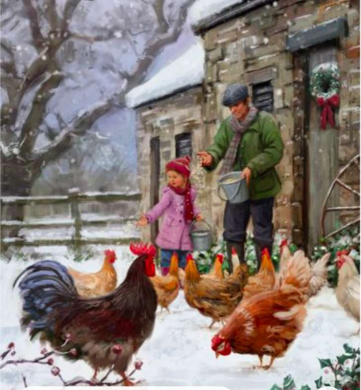 Wintervoer van kippen :) online puzzel