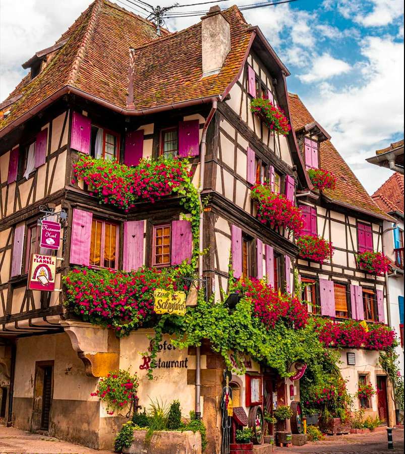 House with pink shutters online puzzle