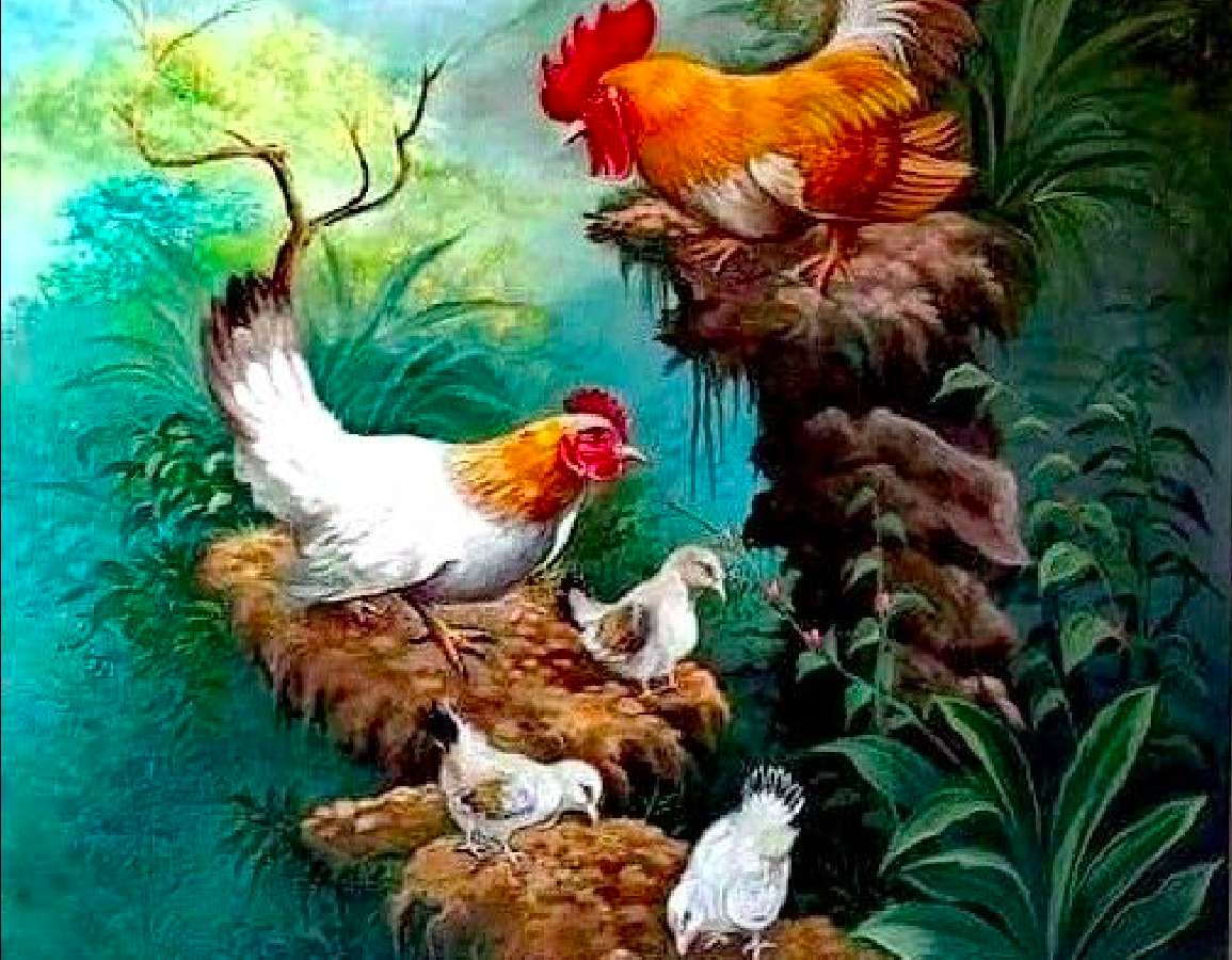 Κόκορας, κότα και πουλιά δίπλα στο νερό :) παζλ online