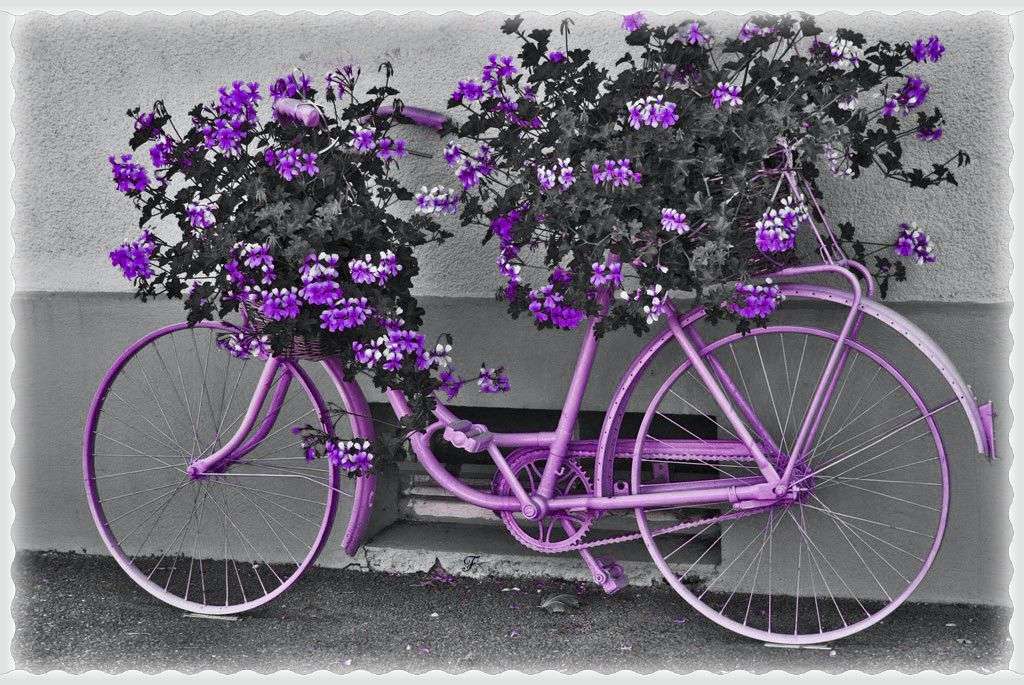 Violettes Fahrrad mit Eisenkraut Online-Puzzle