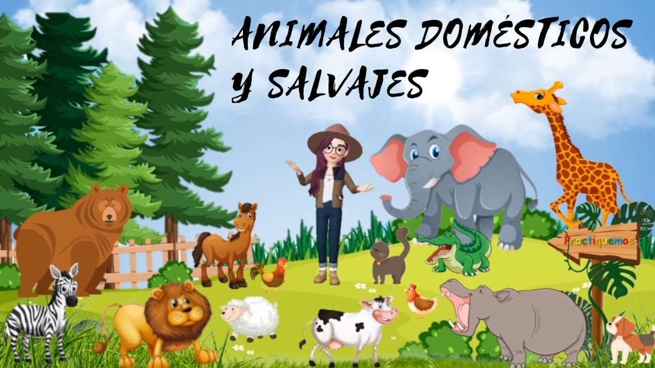 Animali puzzle online