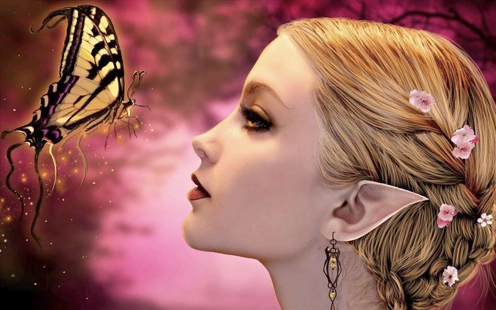 Möte av två fjärilar Pussel online