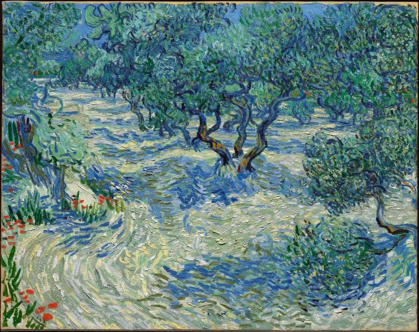Оливковий гай (Вінсент Ван Гог) онлайн пазл
