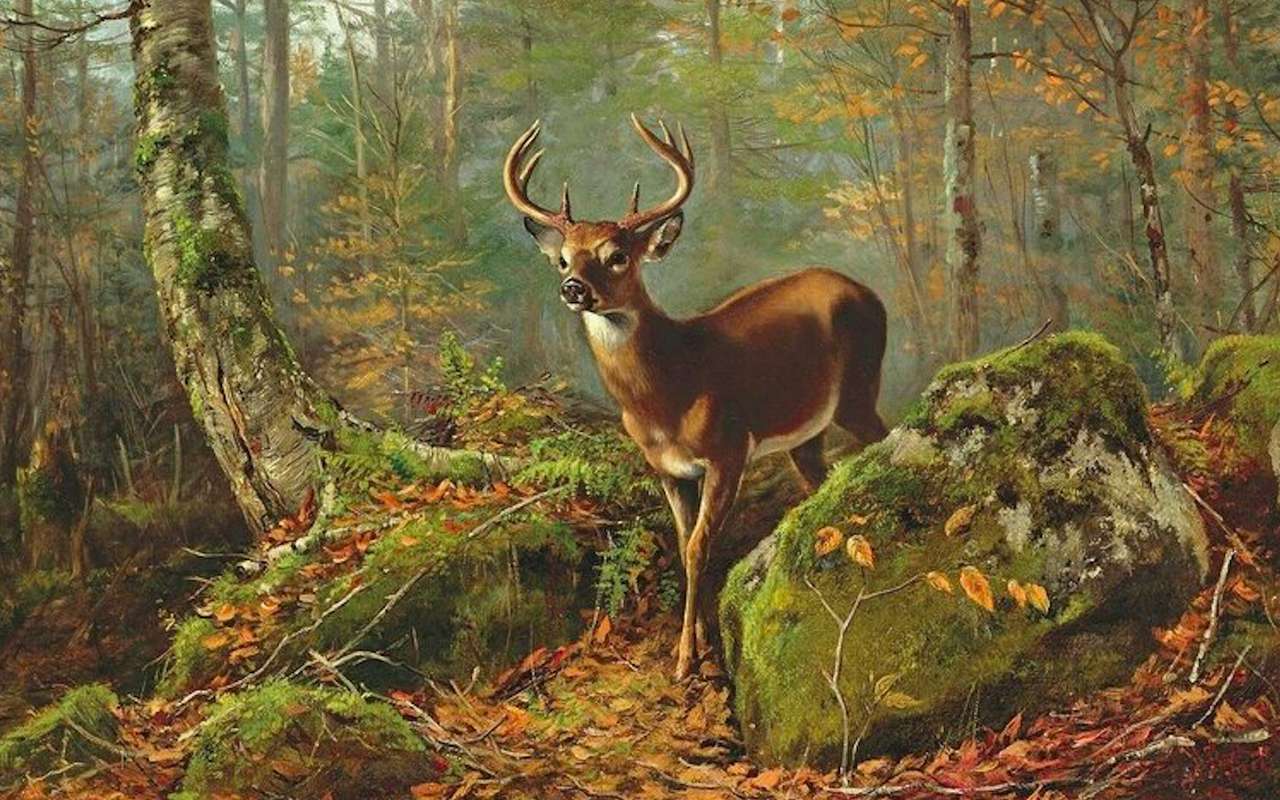 Young deer in the forest -Млад елен в гората онлайн пъзел