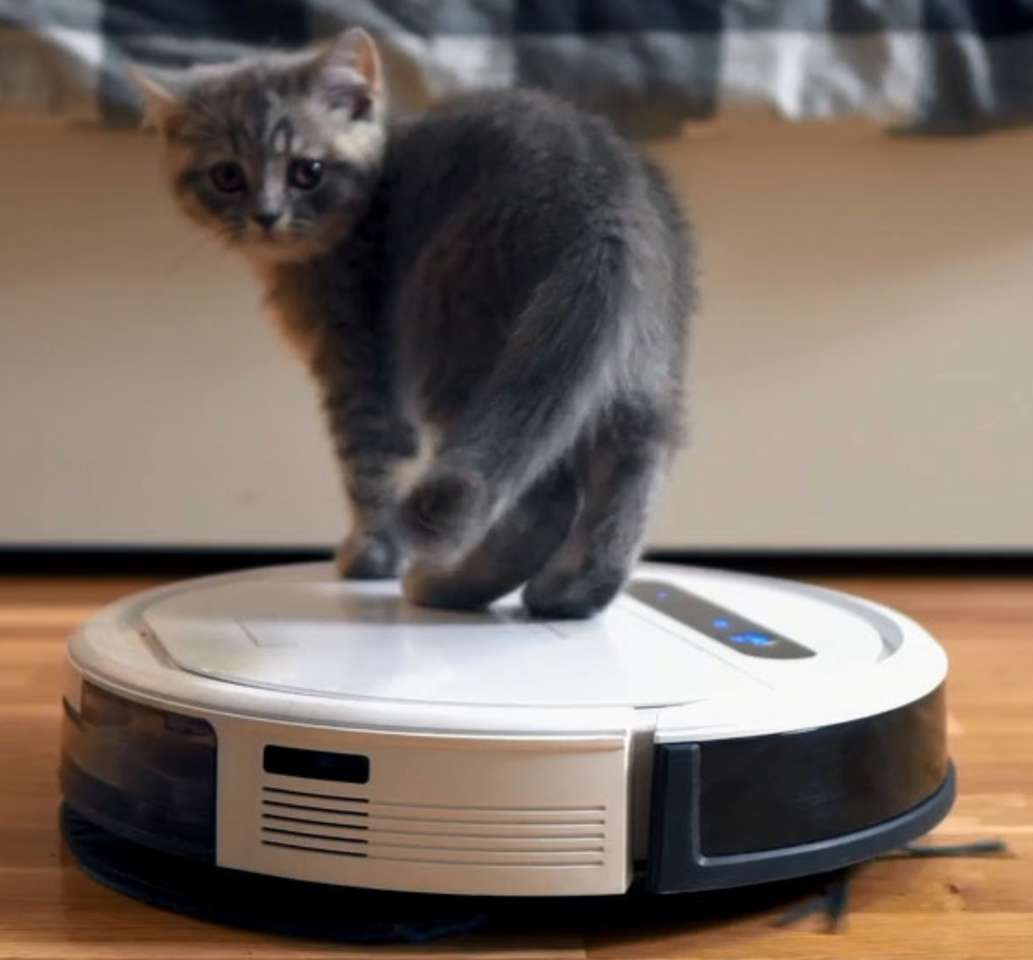 Kotě na robotickém vysavači skládačky online