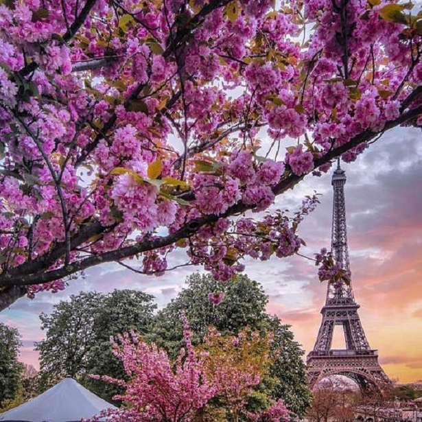 Paris landskap pussel på nätet