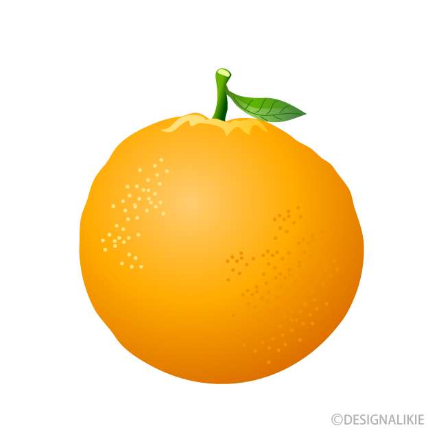Sinaasappel - Voeding legpuzzel online