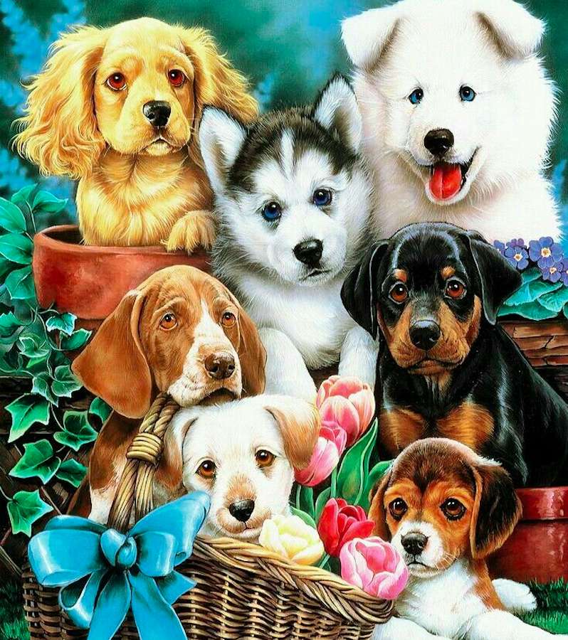 Cuccioli, cani, dolci bambini :) puzzle online