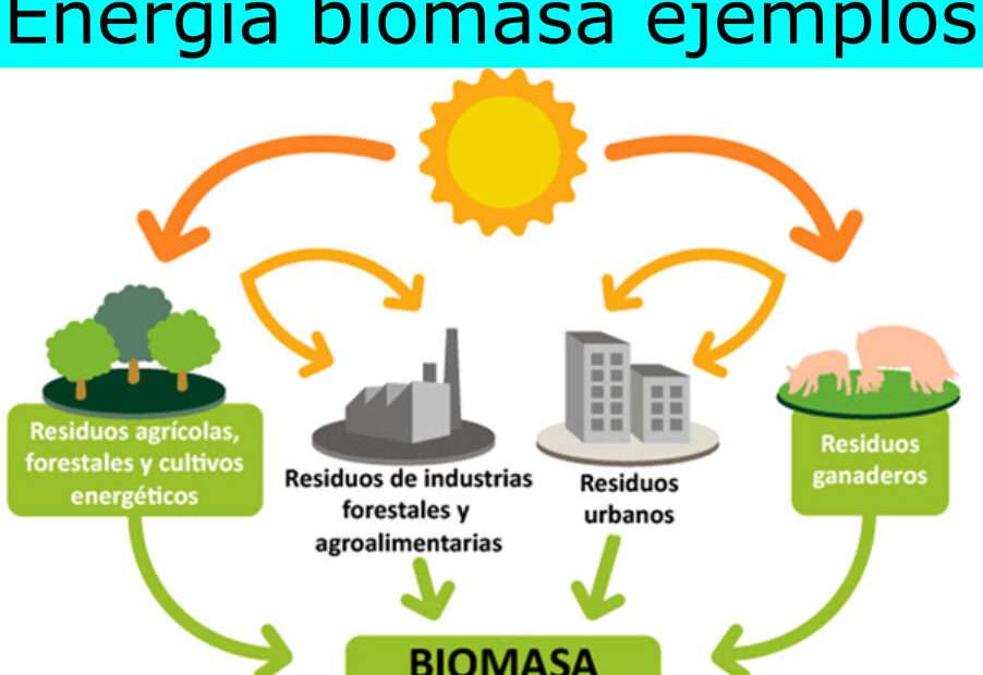 Biomassa energi pussel på nätet