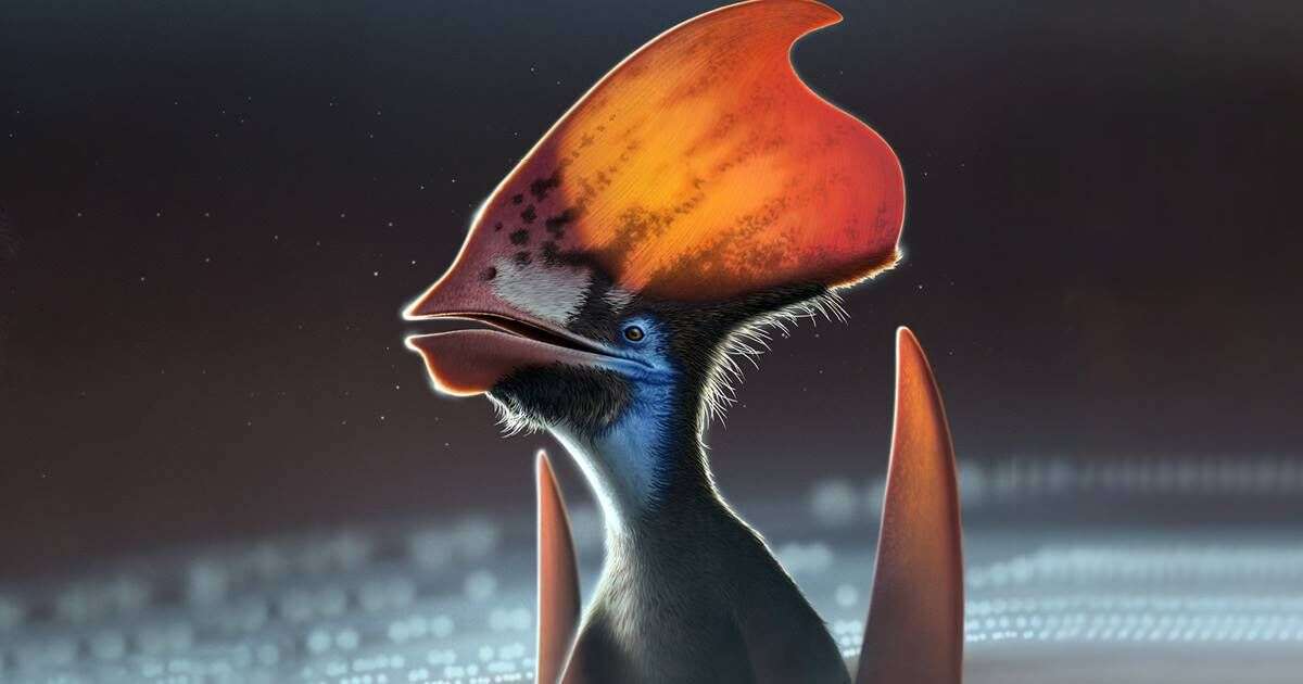 pterosaurie Pussel online