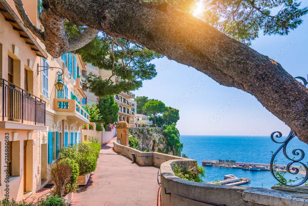 Un quartier de Monaco situé sur un haut cap puzzle en ligne