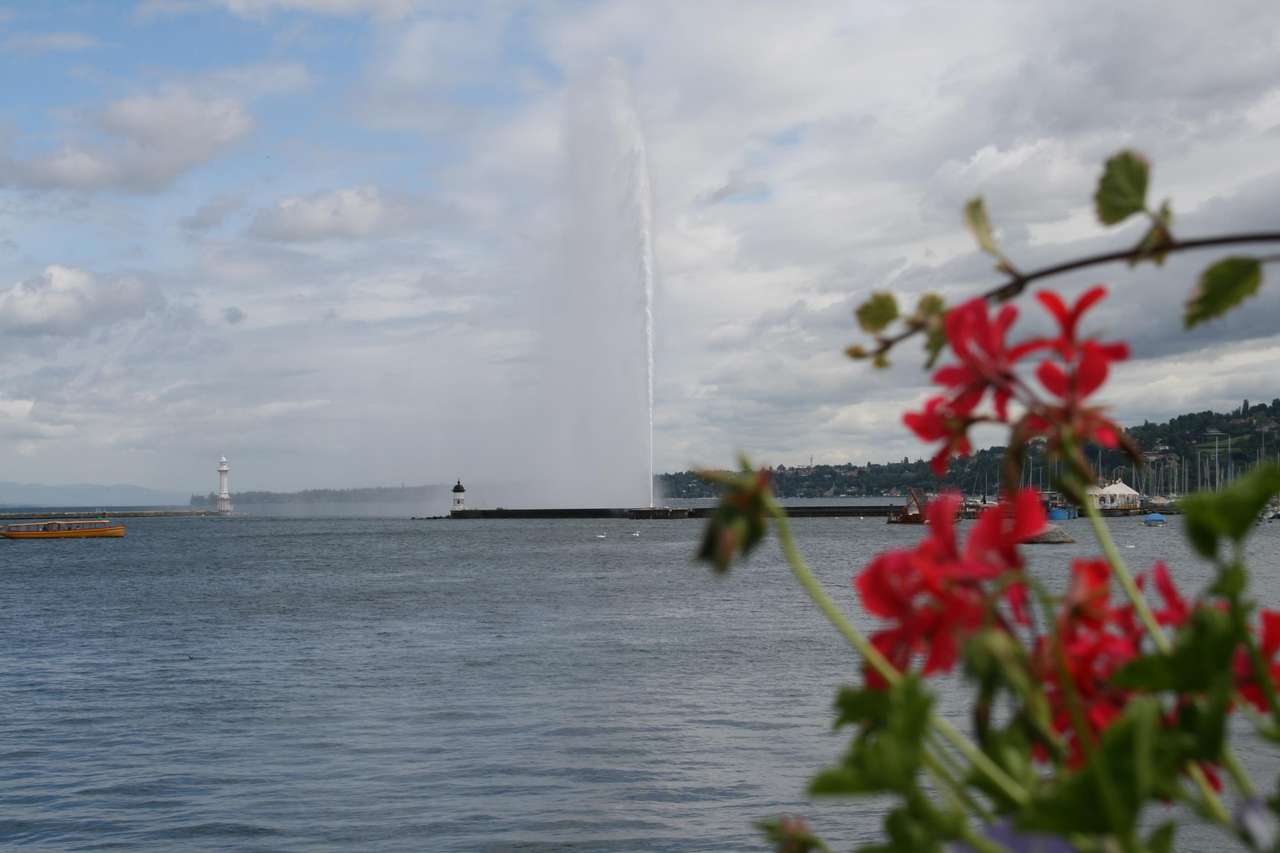 Geneva fountain online puzzle
