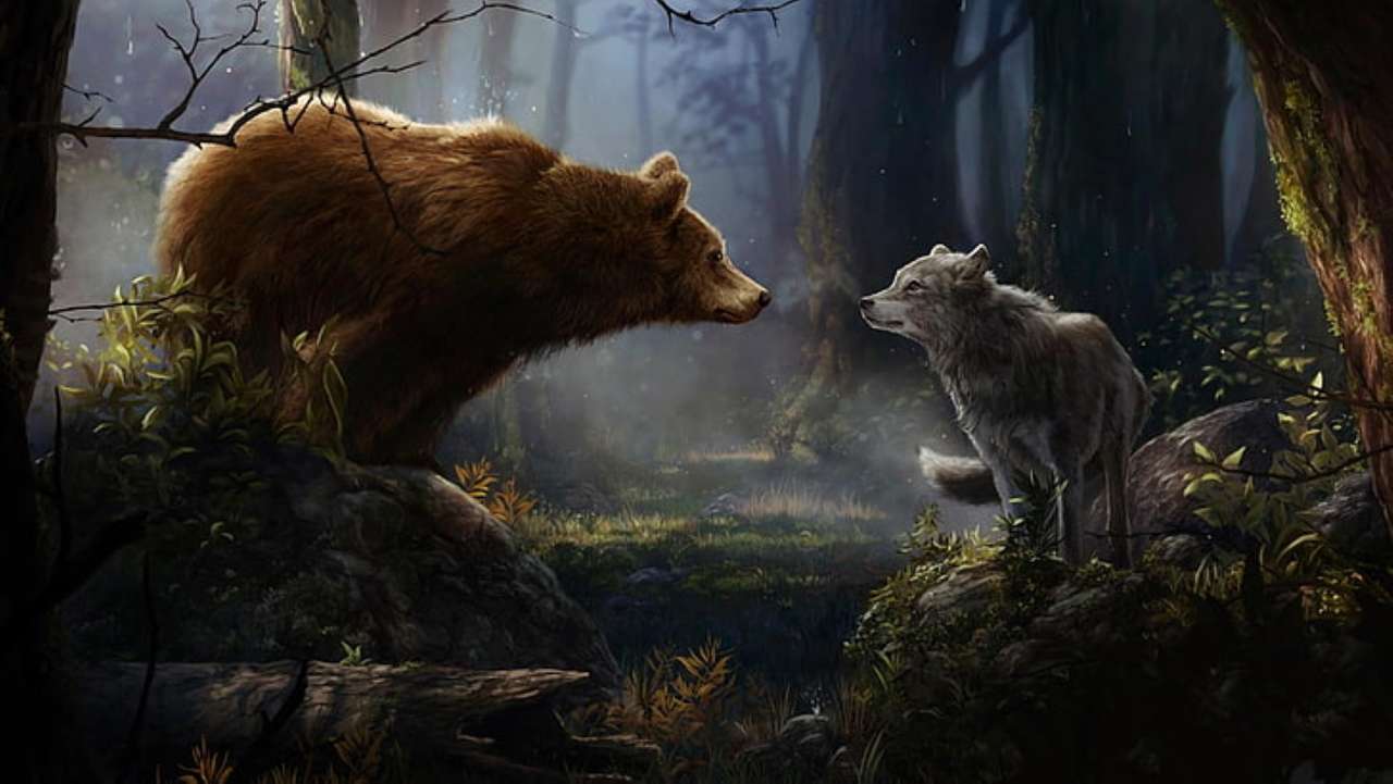 encuentro de un oso y un lobo rompecabezas en línea