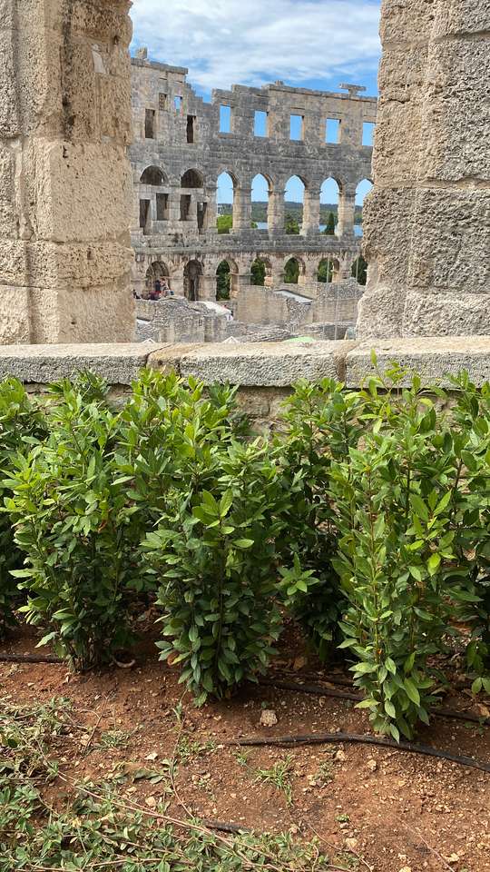 Coliseo rompecabezas en línea