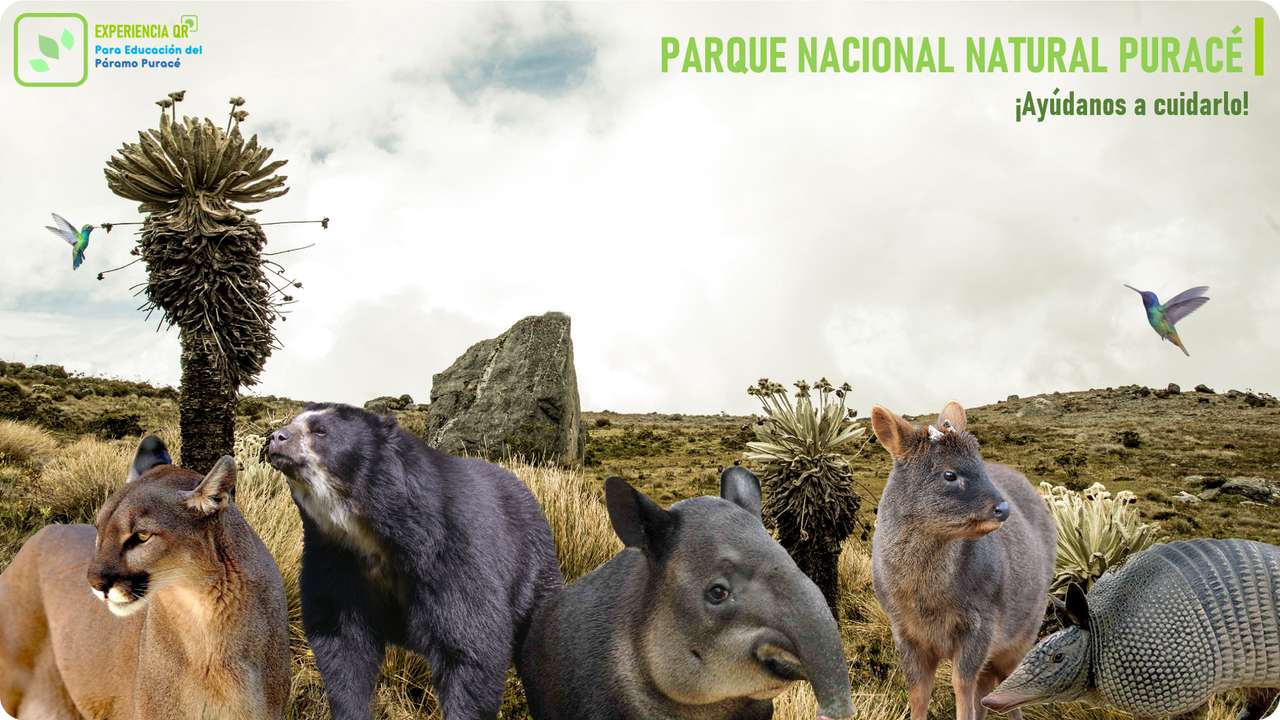 Puzzle národního přírodního parku Puracé online puzzle