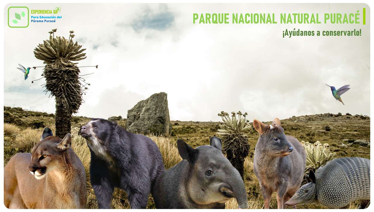 Puzzle din Parcul Natural Național Puracé puzzle online