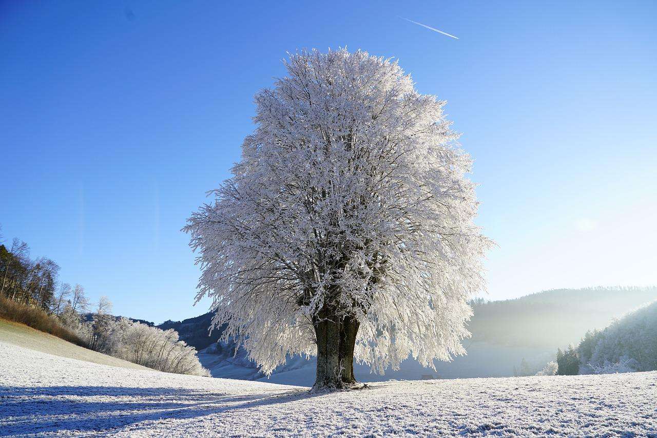 Winterlandschap Rijp legpuzzel online