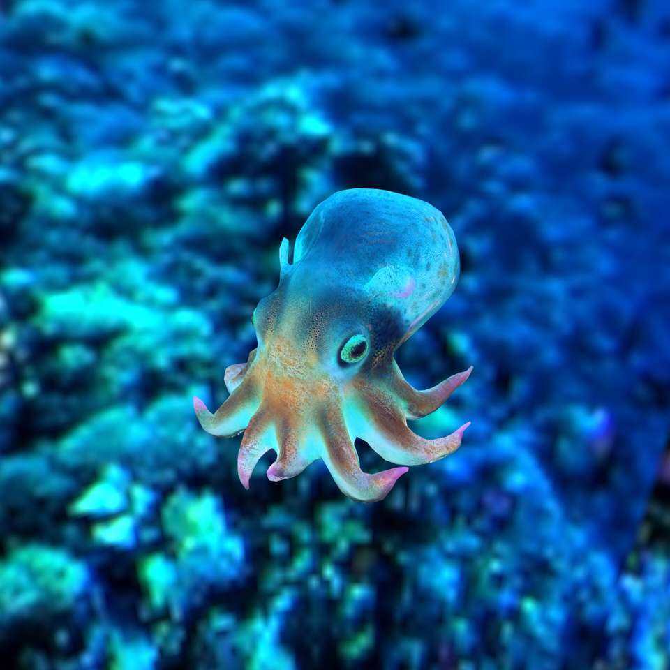 octopus! online puzzel