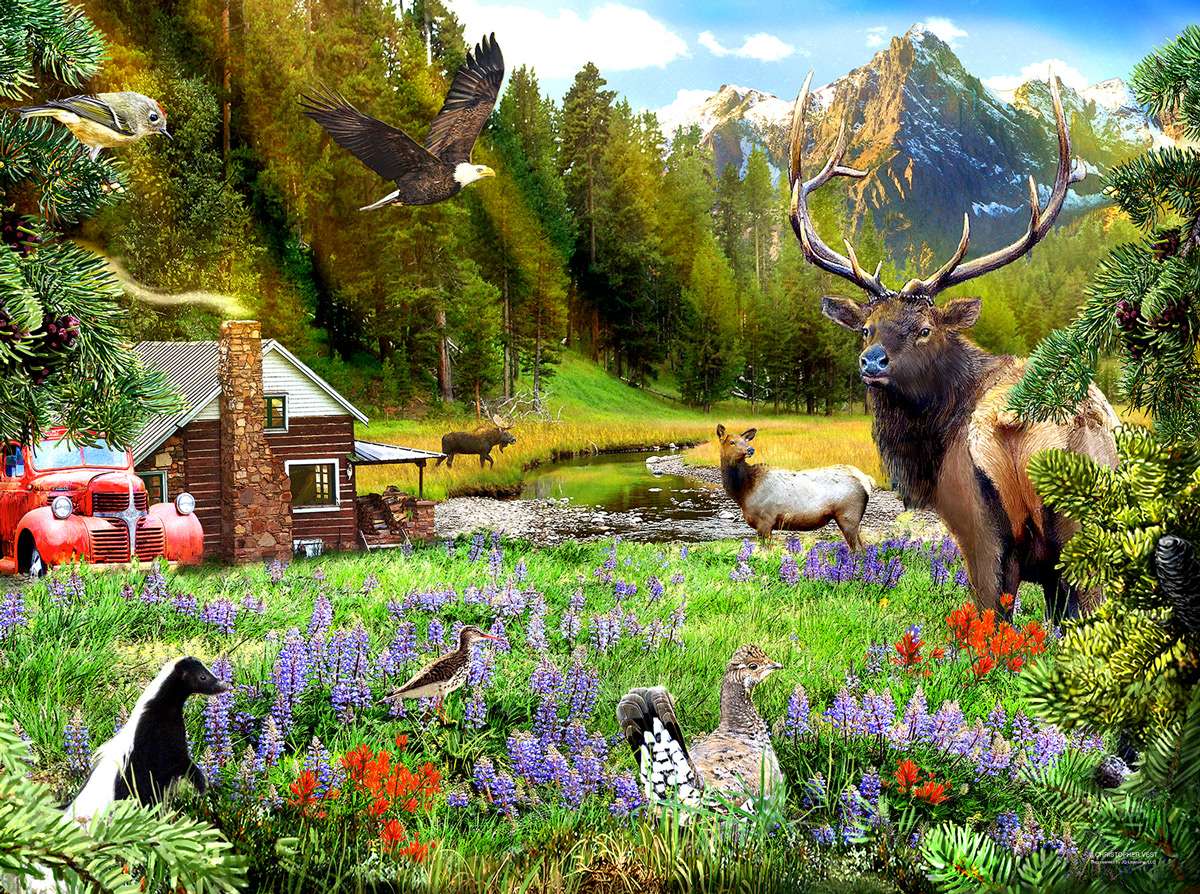 A house in a forest clearing - a white-tailed eagle, a moose, a doe, a skunk jigsaw puzzle online