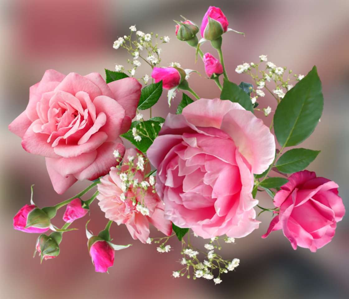 Pink roses - popular flowers jigsaw puzzle online