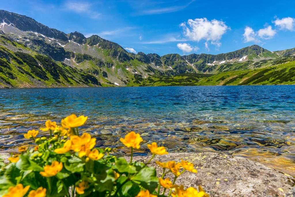 Um lago nas montanhas puzzle online
