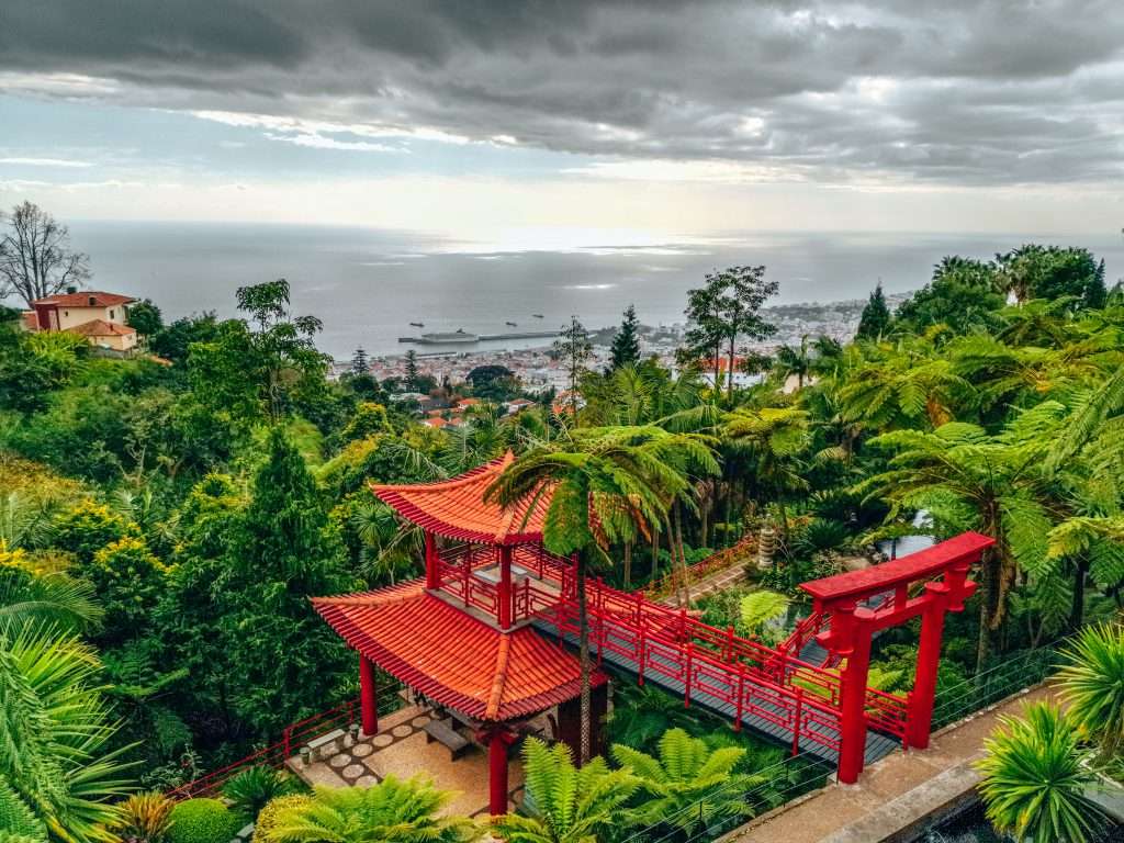 Funchal. jardin tropical rompecabezas en línea