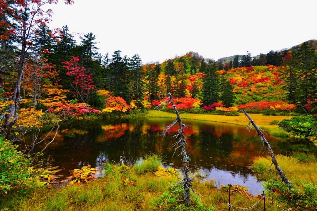nationalpark i japan pussel på nätet