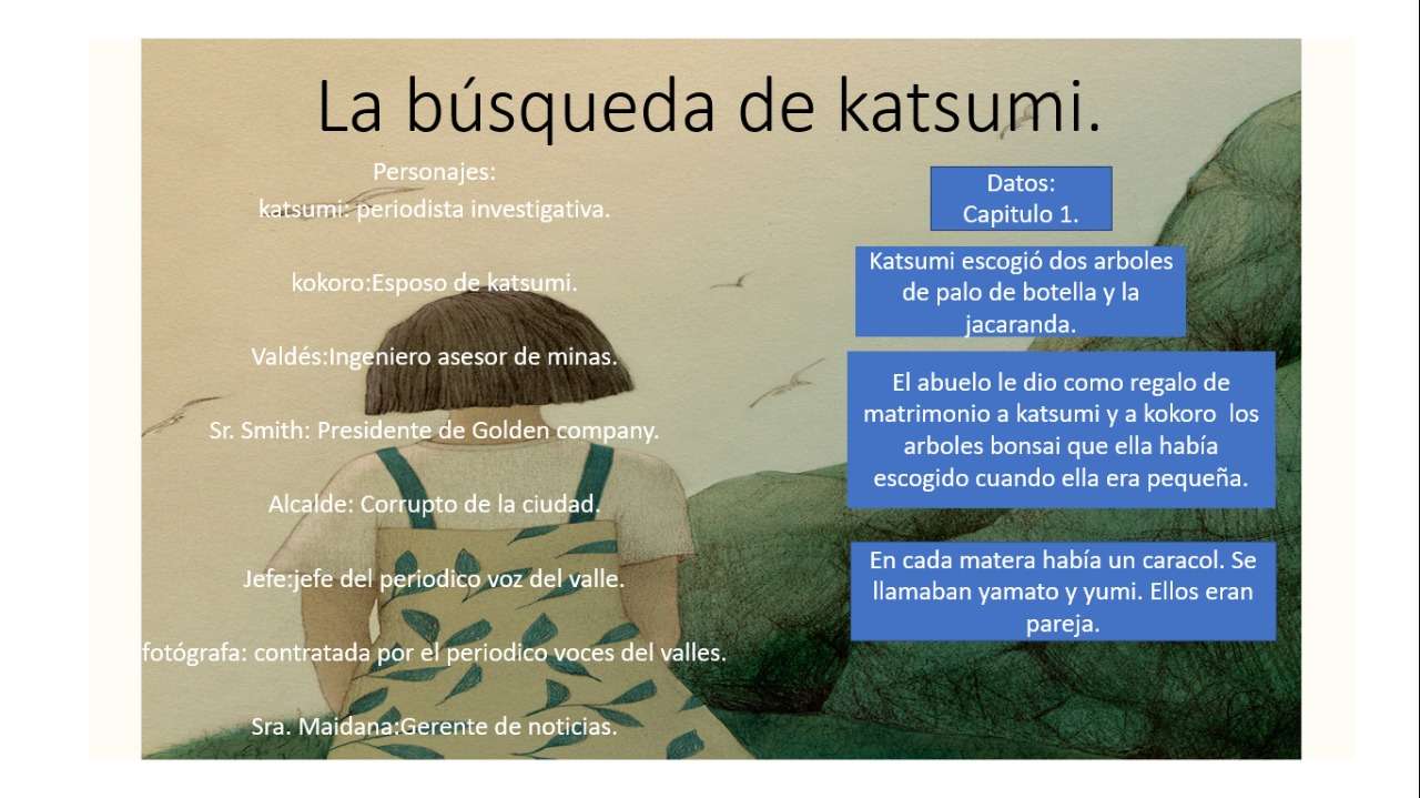 Kniha Hledání školy Katsumi online puzzle