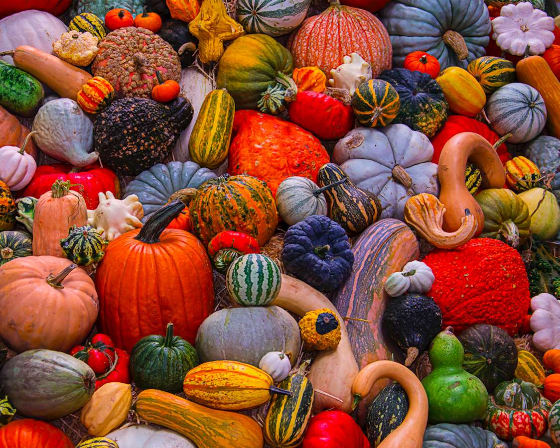 frutas e legumes de outono quebra-cabeças online