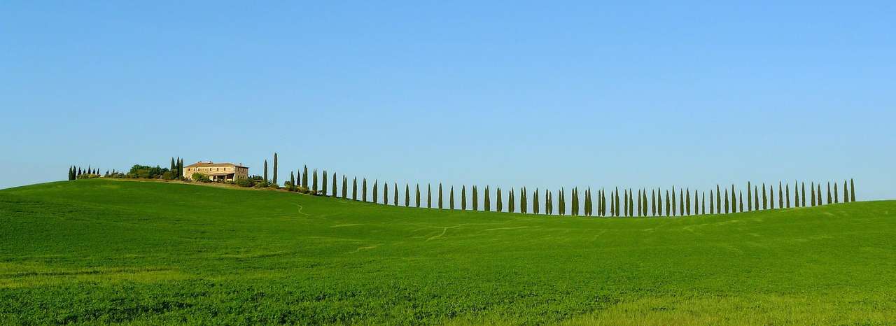 Тосканская кипарисовая ферма пазл онлайн