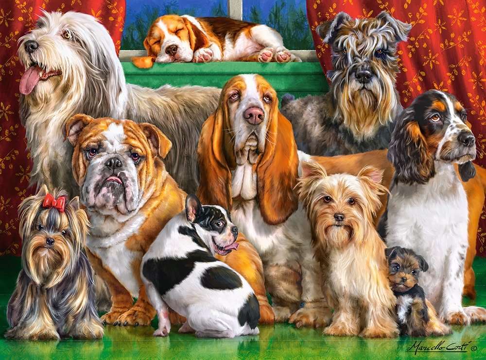 Diverse razze di cani puzzle online