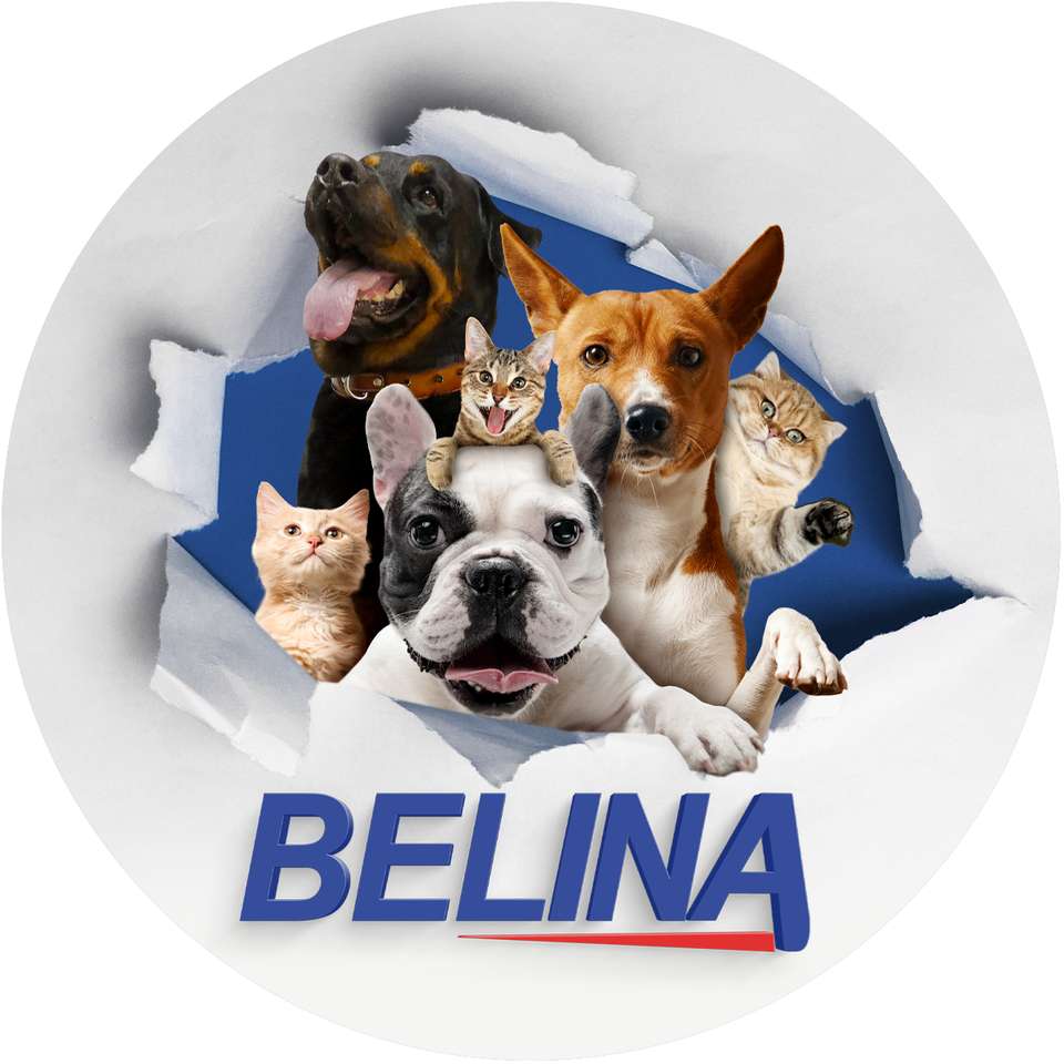 Belina-Puzzle Puzzlespiel online
