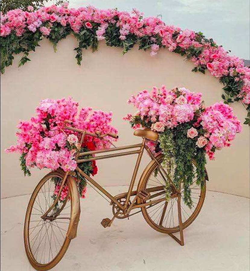 Vacker rosa cykelväg ros Pussel online