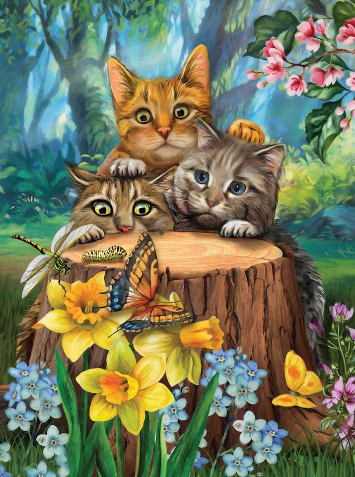 Tre gattini puzzle online