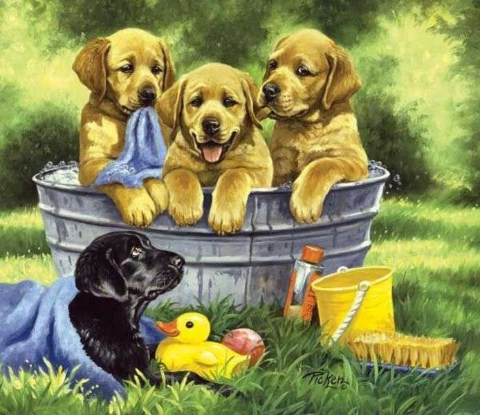 Кученца, които се къпят #206 онлайн пъзел
