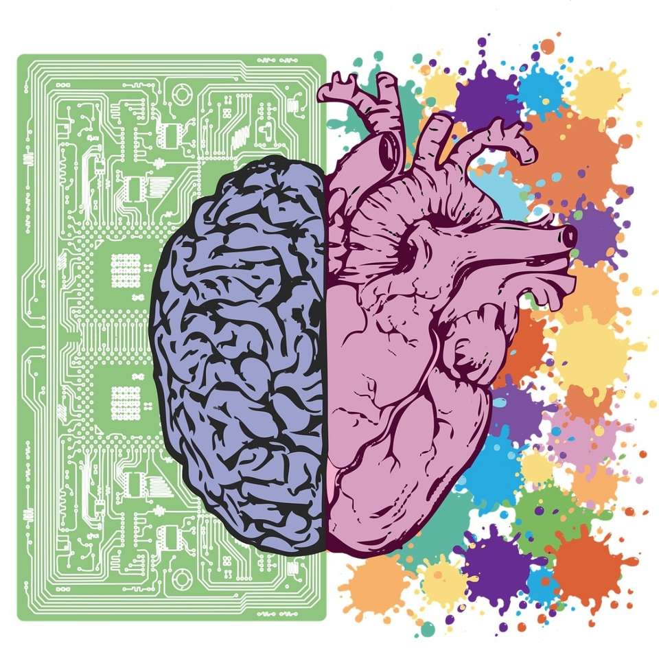 сердце мозг онлайн-пазл