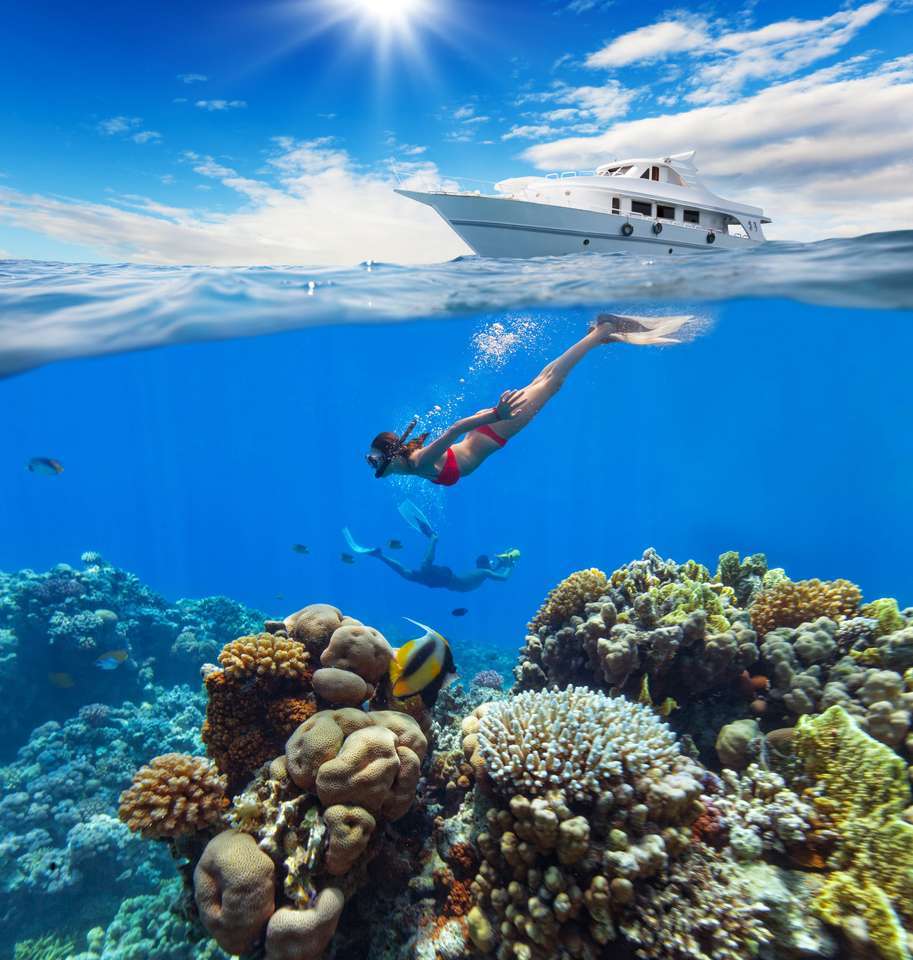 Un plongeur nageant sur un récif de corail puzzle en ligne