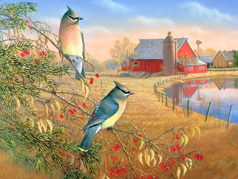 Cedrové voskovky - krásné ptáky online puzzle