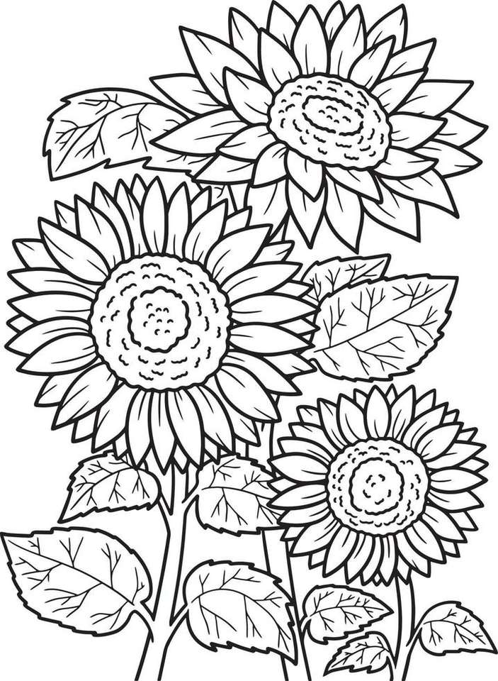 sunflower jigsaw puzzle online