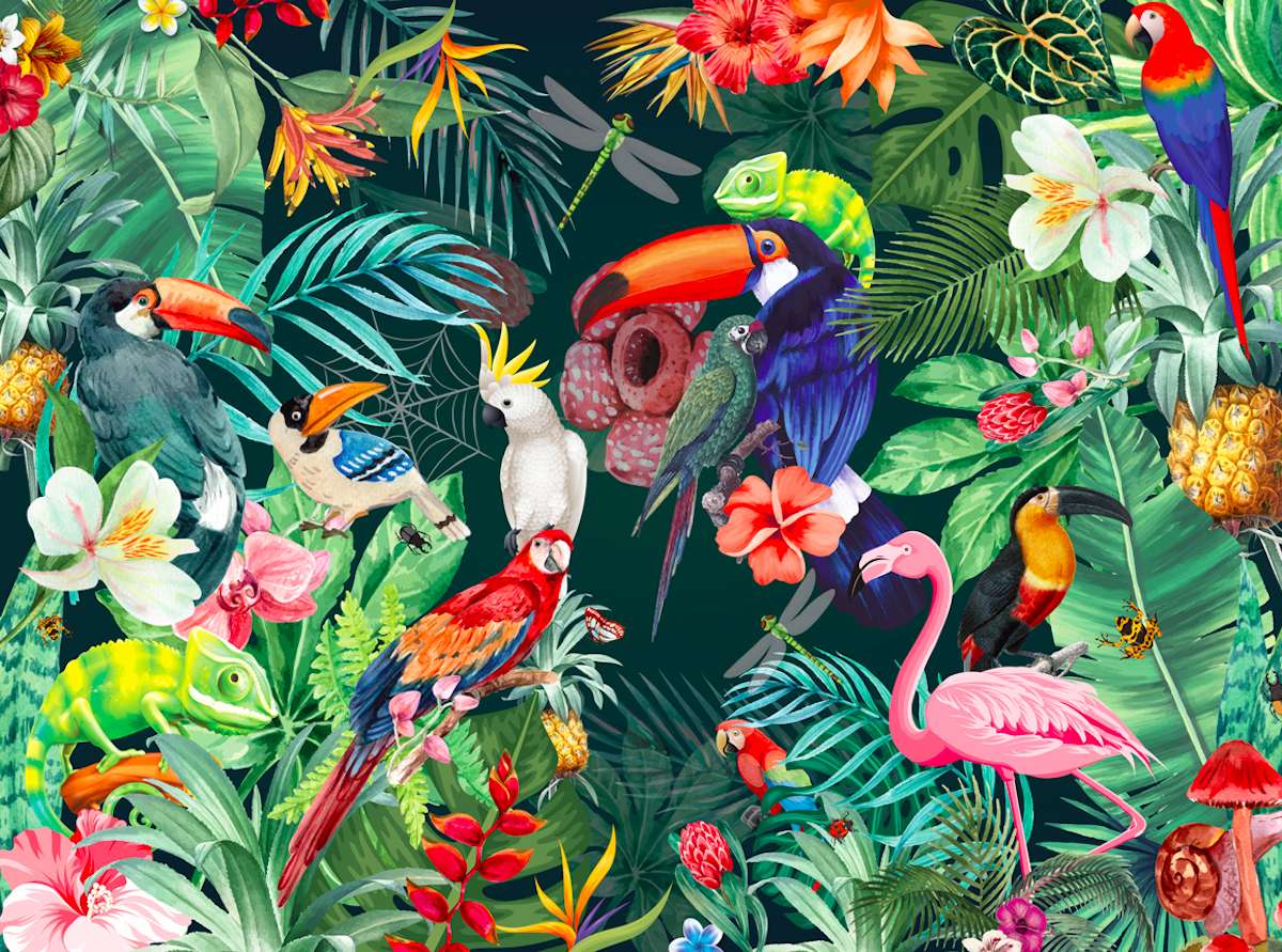 Beautiful colorful tropical birds online puzzle