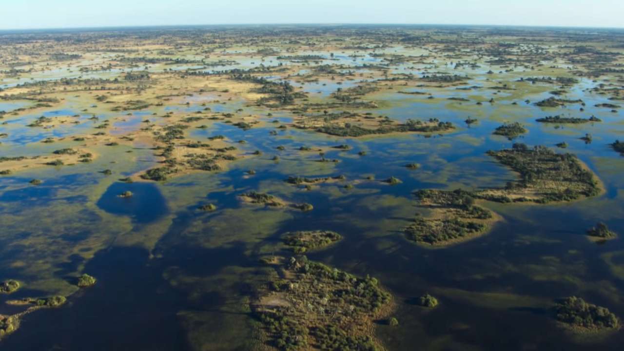 Delta do Okavango quebra-cabeças online