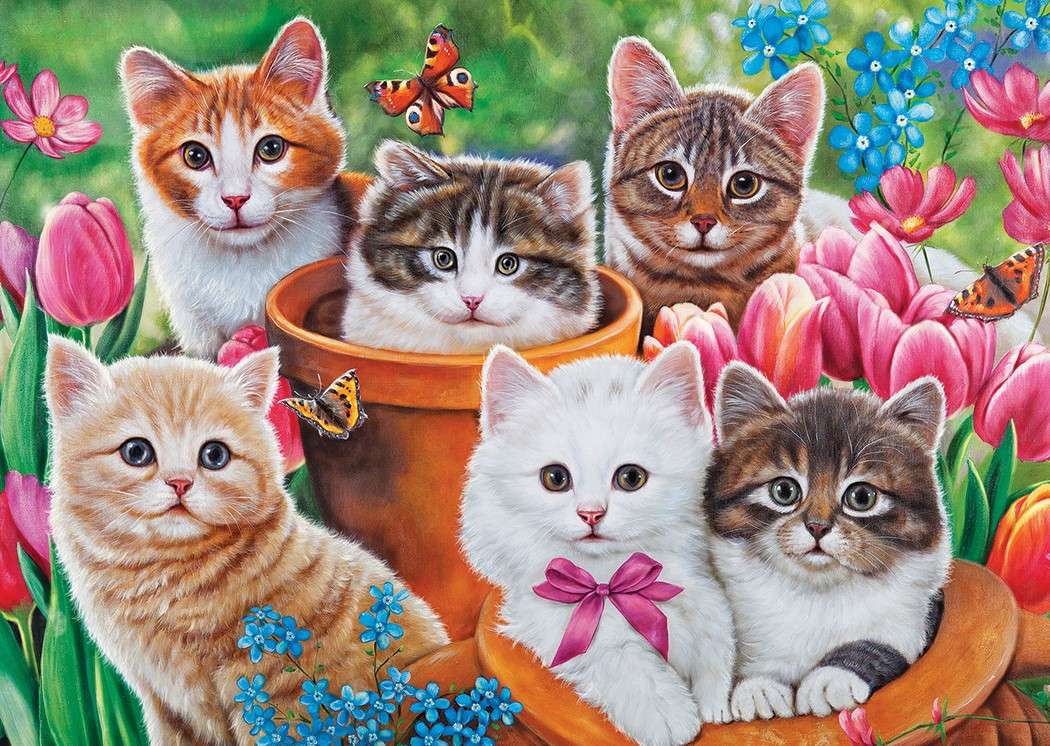 Schöne Kätzchen Puzzlespiel online