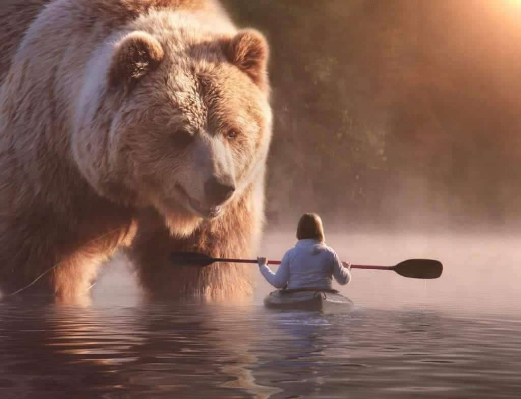 ours dans l'étang puzzle en ligne