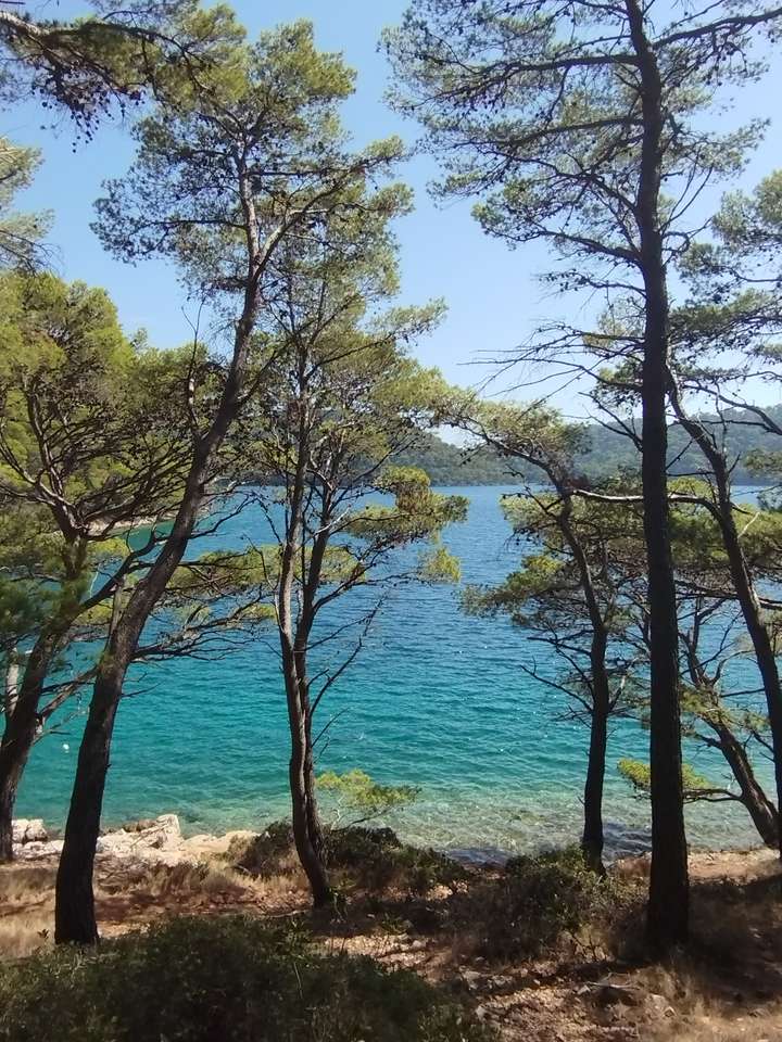 クロアチア、ミジェトの湖 ジグソーパズルオンライン