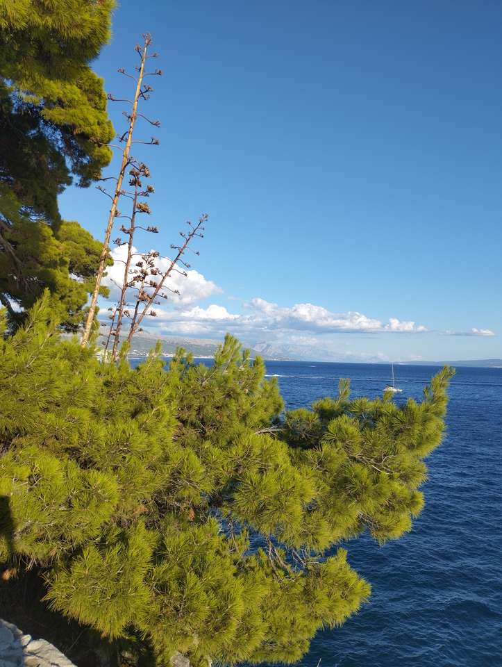 Zee, Split, Kroatië legpuzzel online