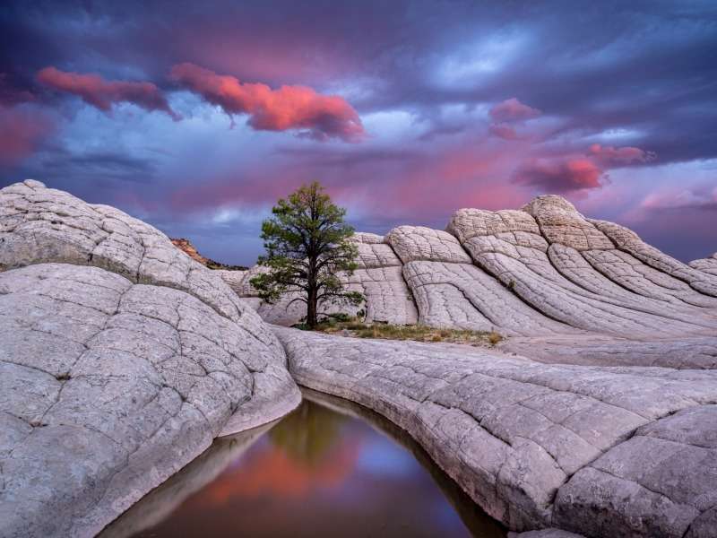 Arizona-Vermilion Cliffs, красотата на това чудно място онлайн пъзел