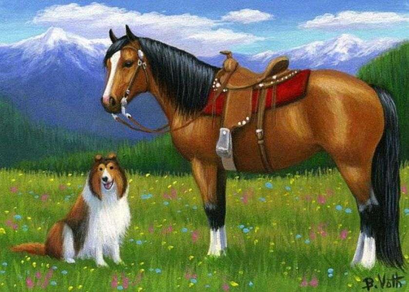 Cățeluș Collie cu cal #216 jigsaw puzzle online