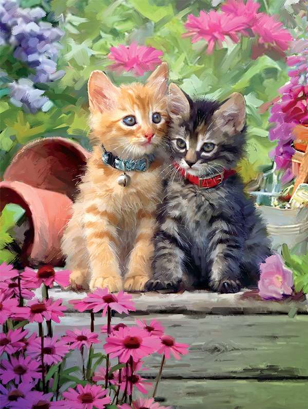 Sibling kittens poseren #227 legpuzzel online
