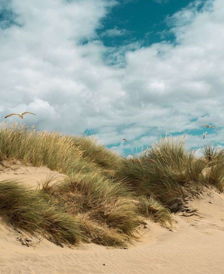 dunas de arena rompecabezas en línea